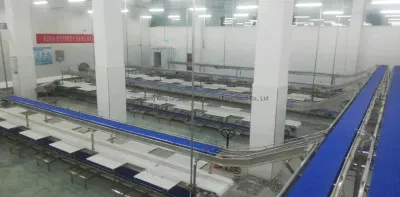 Livestock Slaughter Division Conveyor Line Ztl-500