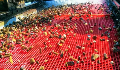 Polyurethane Mining Screens /Vibrating Sieve Mesh/PU Sieve Mesh Screen