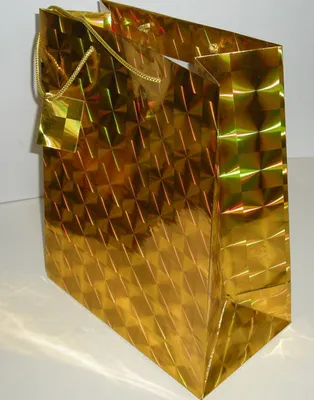 Shopping Bag (XH-03)