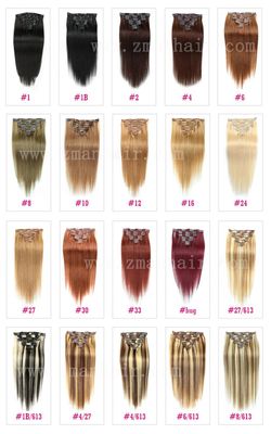 100% Brazilian Human Virgin Clip-in Hair in #4/613 Color