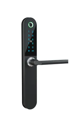Fingerprint Reader Home Office Password Tuya Door Locks Factory