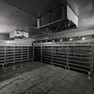 Reliability Low Energy Consumption Low-Temperature High-Humidity Meat Thawing Machine