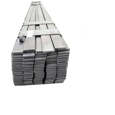 Factory Supply Galvanized Strip Steel/Flat Steel/Spring Steel/Bright