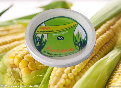 Disposable Corn Starch Plate (THP-27)