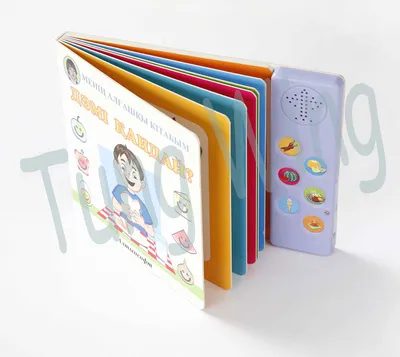 3 Buttons Children's Sound/Music Book