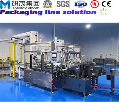 Automatic Servo Control Packing/Packaging Line with Case Erecting and Sealing