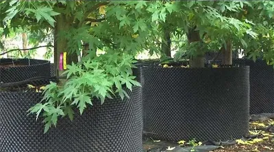 Air Pruning Pot Plant Pot Factory Tree Root Control Container