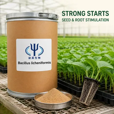 Agricultural Bacillus Licheniformis Powder 100 Billion Cfu/G Bio-Inoculant for Crop & Soil