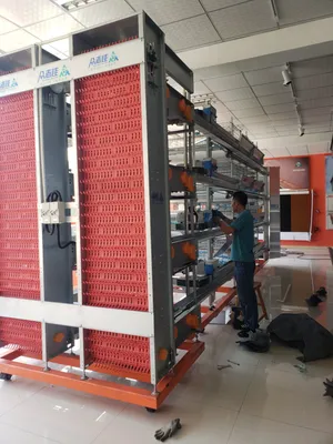 Hot Galvanized Poultry Battery Farm Machine H Type Broiler Automatic Feeding Manure Removal Brood Hen Broiler Coop Layer Chicken Cage