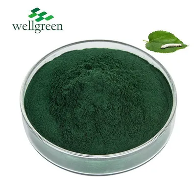 Chlorophyllin Copper Complex Sodium Salt Green Powder 15% Chlorophyll Mulberry Leaf Extract