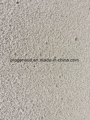 Progeneus 100mm AAC Alc Panel for External Wall