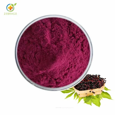 Chinese Manufacturer Supply Organic Elderberry Extract