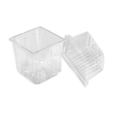 Thermo Forming Pet Plastic Sprout Food Container Dm-L