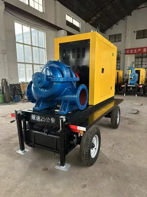 Agricultural Irrigation Fawde Diesel Water Pumps