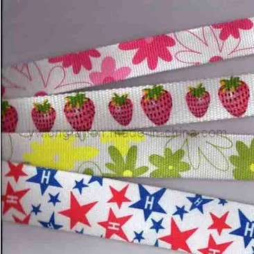 1' Printing Webbing Ribbon