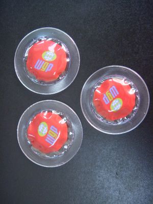 Programmable Recordable Sound Module for Toys