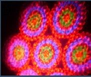 LED Effect Light