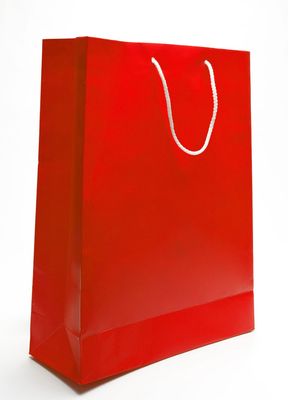 Promotional Paper Bag