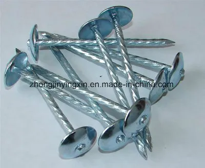 10bwg X2.5" Good Galvanized Roofing Nails for Building