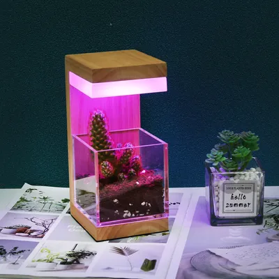 USB Rechargeable 7 Color RGB Wooden LED Plant Lamp Grow Lights Mood Lamp Decorative Light for Home
