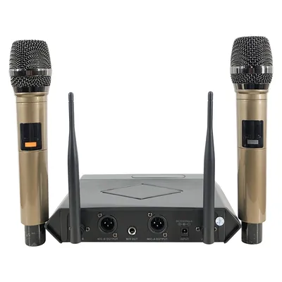 Microphone Karaoke Mic with Two Microphone for Singing Karaoke KTV Outdoor Performance