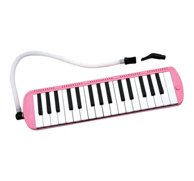 37key Melodica (hard case)