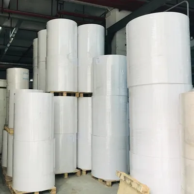 High-Quality Thermal Paper Rolls for Point of Sale Solutions