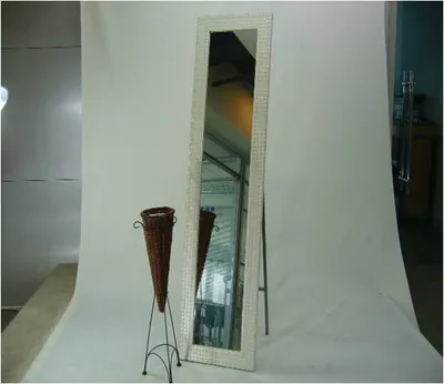 Plastic Synthenic Frame Stand Mirror