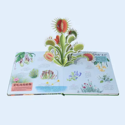 2026 New Factory Direct 3D Pop-up Educational Story Book Printing for Kids