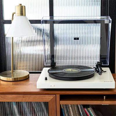 Tr-L40 High Quality Modern Gramophone Turntable with PVC Veneer Vinyl Record Player