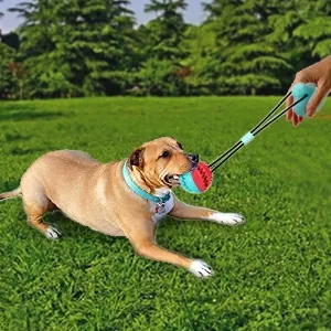 Interactive Dog Chew Toys for Aggressive Chewers and Boredom Relief