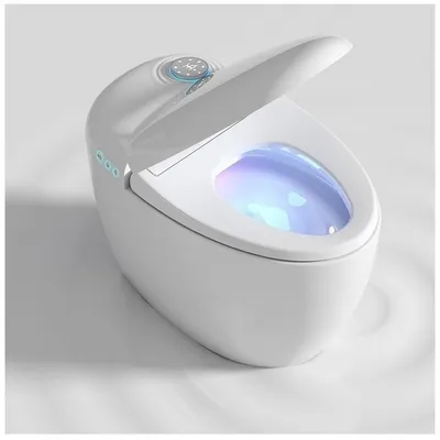 China Electric Smart Intelligent Bidet Toilet Set