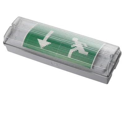 CE IP65 3W Rechargeable Wall Mounted Emergency Bulkhead Light