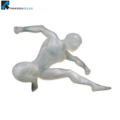 High Quality Thinkrisen Fast Printing Rapid Stamp Customized 3D Model Service