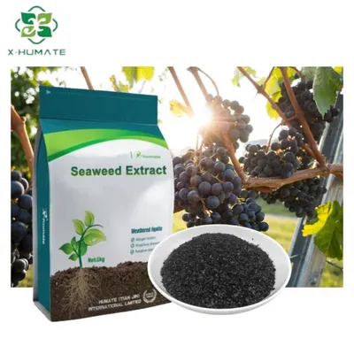 High Organic Matter Seaweed Fertilizer Flake/Powder/Liquid