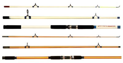 Fishing Rod