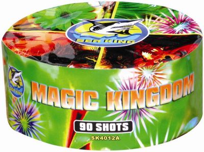 Magic Kingdom 90 Shots A Firework