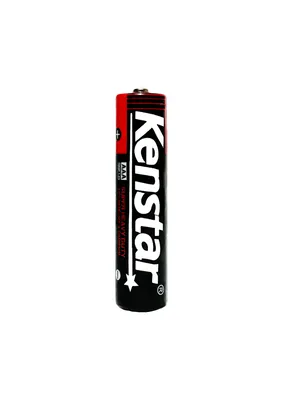 AAA 1.5V R03 Carbon Zinc Battery for Remote Control