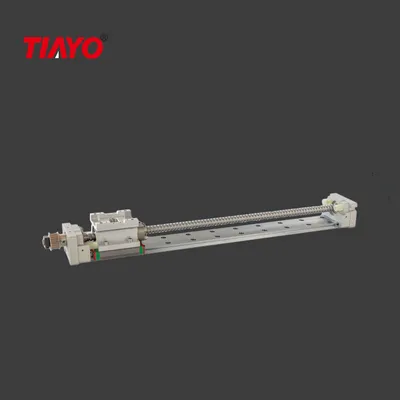 Linear Module Factory Low Price Ball Screw Linear Motion Module Guide