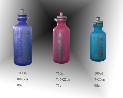 Bottle