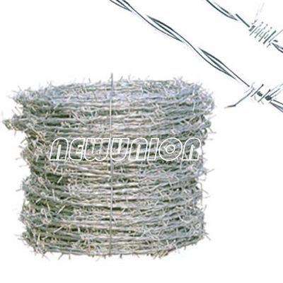 Barbed Iron Wire