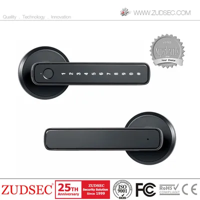 Remote Control Bluetooth Fingerprint Handle Smart Home Digital Door Lock for Residential Interior Keyless Entry