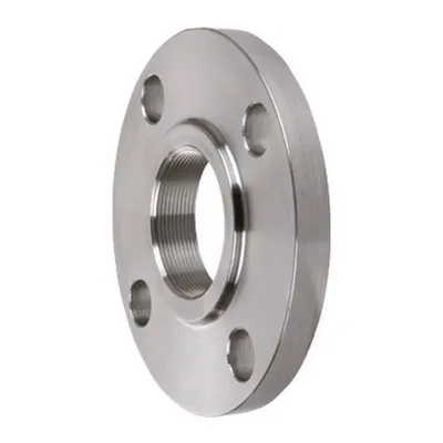 Sanitary Stainless Steel Forged Flange