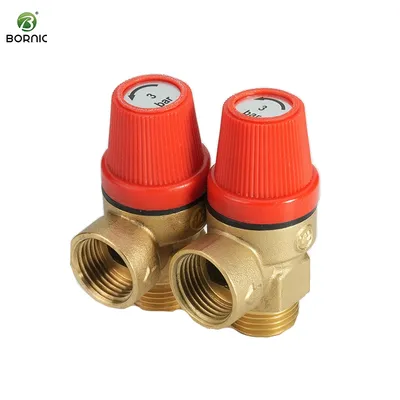 Bornic Universal 1/2 Inch DN15 Safety Valve for Water Heater Brass Safety Valve Brass Pressure Relief Valve