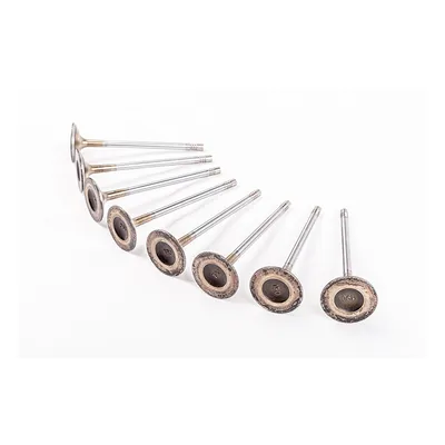 High Performance Auto Spare Part Original Engine Exhaust Valve for JAC T8 OE 1003201gd190