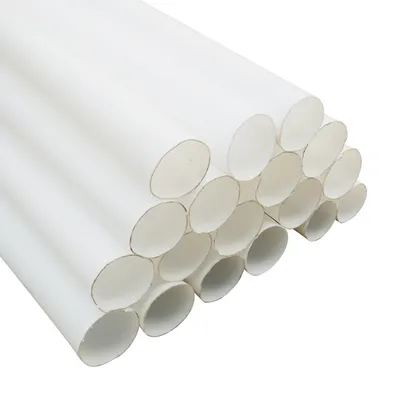 Durable 22X2mm White PTFE Tubing for Industrial Use Worldwide