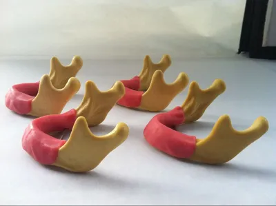 Good Quality Dental Implant for Drilling Practice