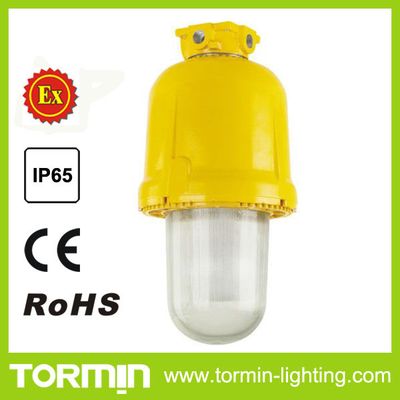 China Hot New Products for 2015 400W Metal Halide Explosion Proof Lights
