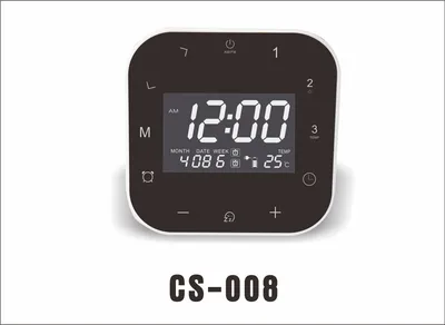 Multi-Function FM Radio Alarm Clocks with USB Charger