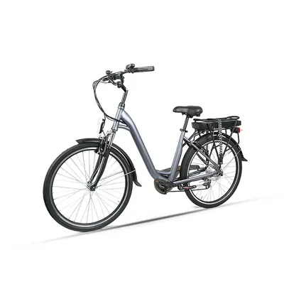 OEM Bike 250W Brushless Rear Hub Motor Electric Bicycle
